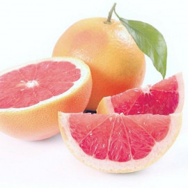 Citrus paradisi 'Pink' - Pomelo rose - Pamplemoussier