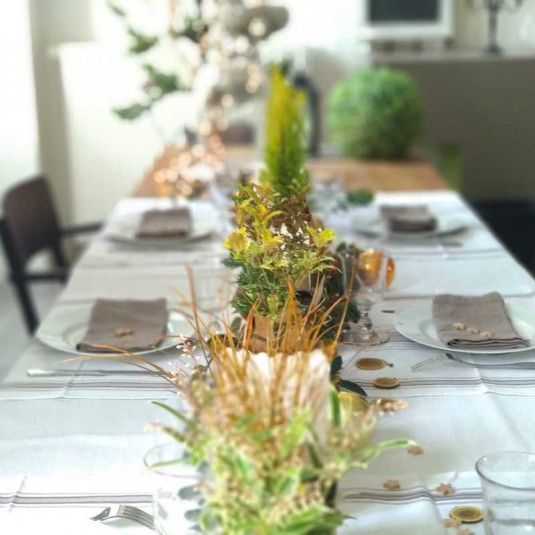 Sélection chemin de table tons dorés-cuivrés – Lot de 5 plants