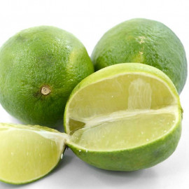 Citrus aurantifolia 'Vert' - Citronnier à fruit acide - Limettier à lime verte
