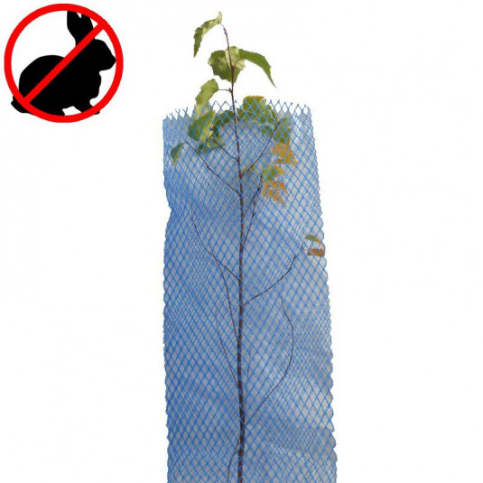 Vente Manchon de protection anti-lapin pour jeunes plants d'arbustes