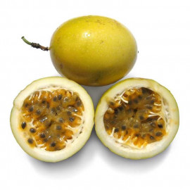 Passiflora edulis 'Flavicarpa' - Passiflore grenadille à fruit de la passion jaune