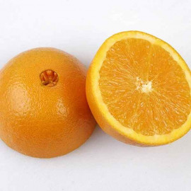 Citrus sinensis 'Washington Navel' - Oranger Naveline - Orange à nombril
