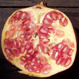 Punica granatum 'Provence' - Grenadier à gros fruit - Grenade comestible