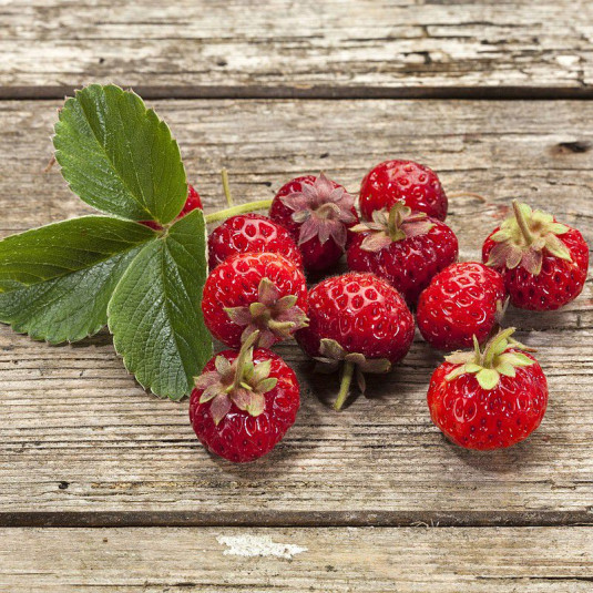 Fragaria ananassa 'Framberry' - Fraise framboise - Fraisier strasberry