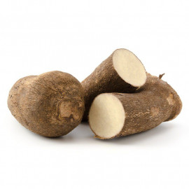 Dioscorea batatas - Igname de Chine