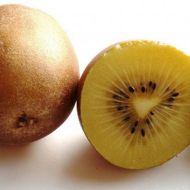 Actinidia deliciosa 'Minkigold'® * - Kiwi jaune femelle