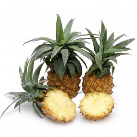 Ananas 'Victoria'