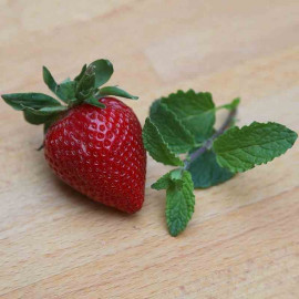 Mentha spicata 'Strawberry Mint' - Menthe fraise