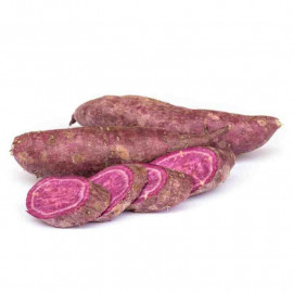 Ipomoea batatas 'Erato® violet' - Patate douce à chair pourpre