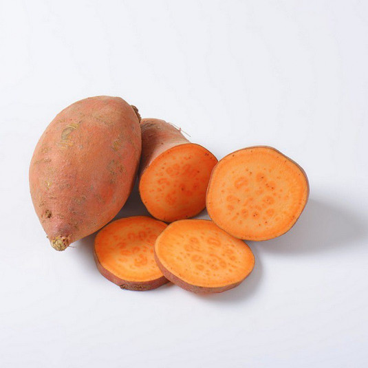 Ipomoea batatas 'Erato® orange' - Patate douce à chair orange