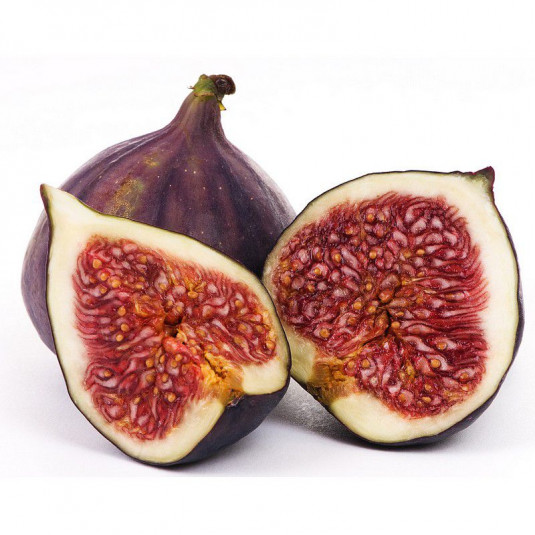 Ficus carica 'Rouge de Bordeaux' - Figuier à fruits - Figue comestible pastillère