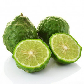 Citrus hystrix - Combava - Citron combera - Lime grumeleuse