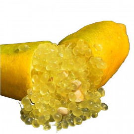 Microcitrus australasica 'Yellow' - Citron caviar perle jaune - Lime d'Australie