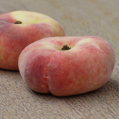 Pêcher 'Des Vignes Blanche' - Prunus Persica 'Des Vignes Blanche